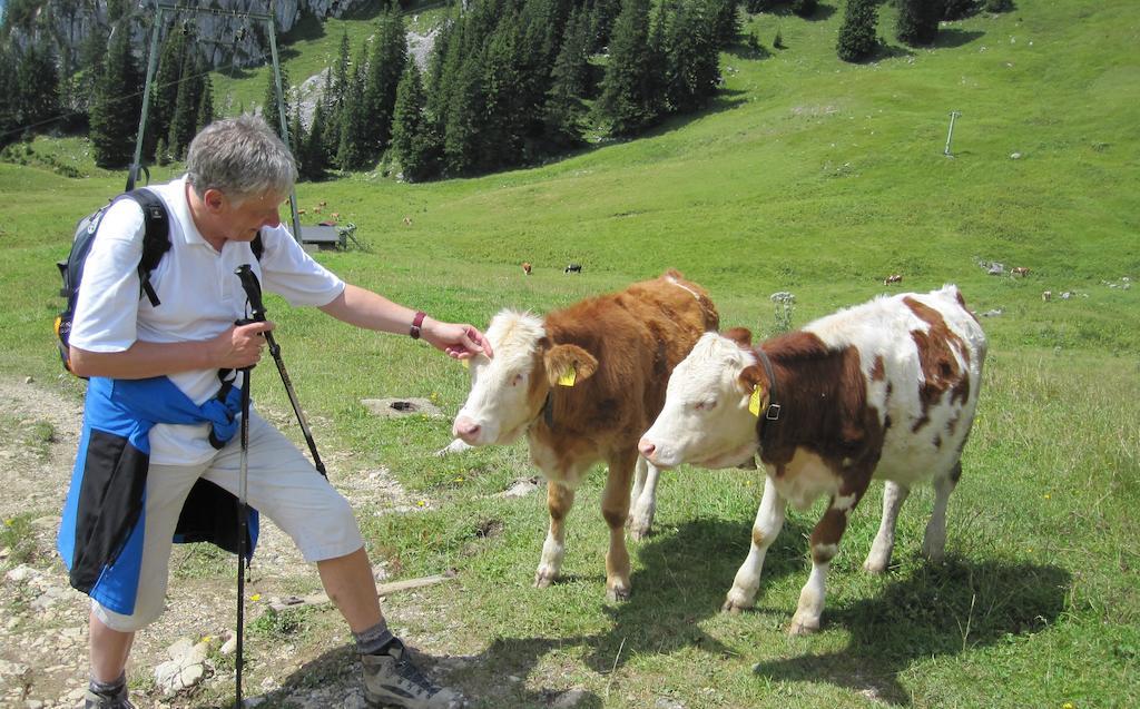 Haus Tirol Lägenhet Thiersee Rum bild